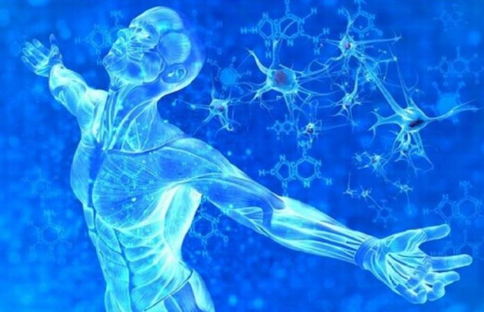 Corps de Lumière Plasma Cristallin